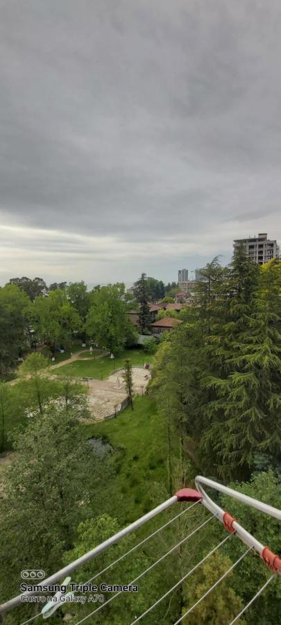 студия радуга у моря колхида Batumi