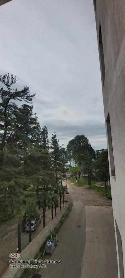 студия радуга у моря колхида * Batumi